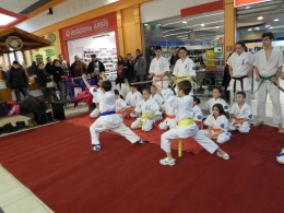 demonstratie karate carrefour
