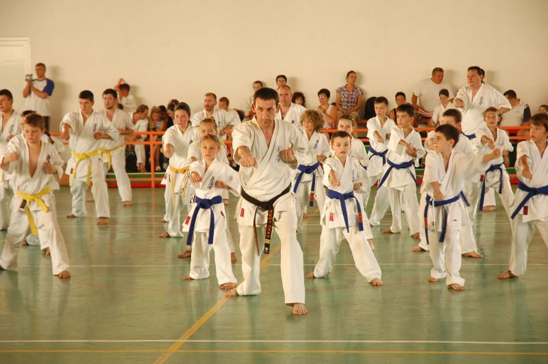 seminar international karate kyokushin