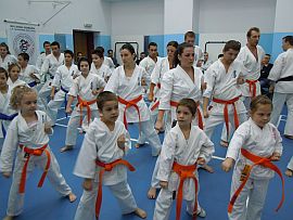 seminar si examen iko sosai sibiu